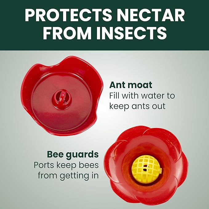 Perky-Pet 203CPBN Glass Hummingbird Feeder for Outdoors with Perches, Ant Moat, Bee Guards - Pack of 1