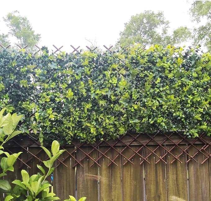 Nature Willow Trellis Expandable Plant Support Plant Climbing Lattices Trellis Willow Expandable Trellis Fence for Climbing Plants Support 36x92 Inch,Double Panel (1, Willow Wicker Fence)
