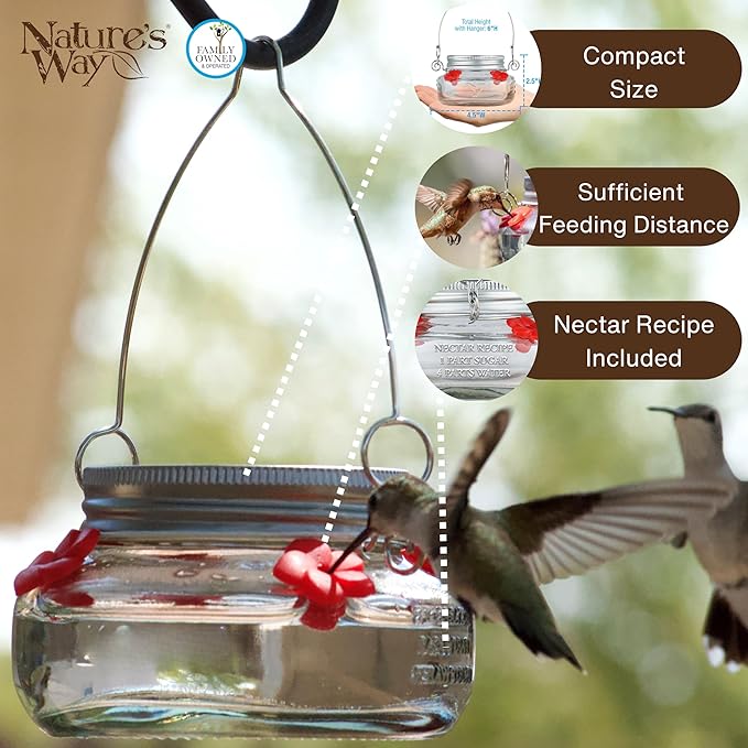 6 Nature's Way Mason Jar Hummingbird Feeders, 6 oz.6