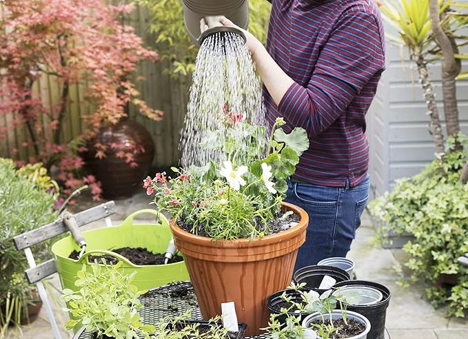 1.5 Gallon Watering Can for Outdoor & Indoor Plants, Large Garden Watering Pot with Lightweight and 5.5L Capacity, Plastic Watering Can with Long Spout and Metal Removable Sprinkler Head, Grey