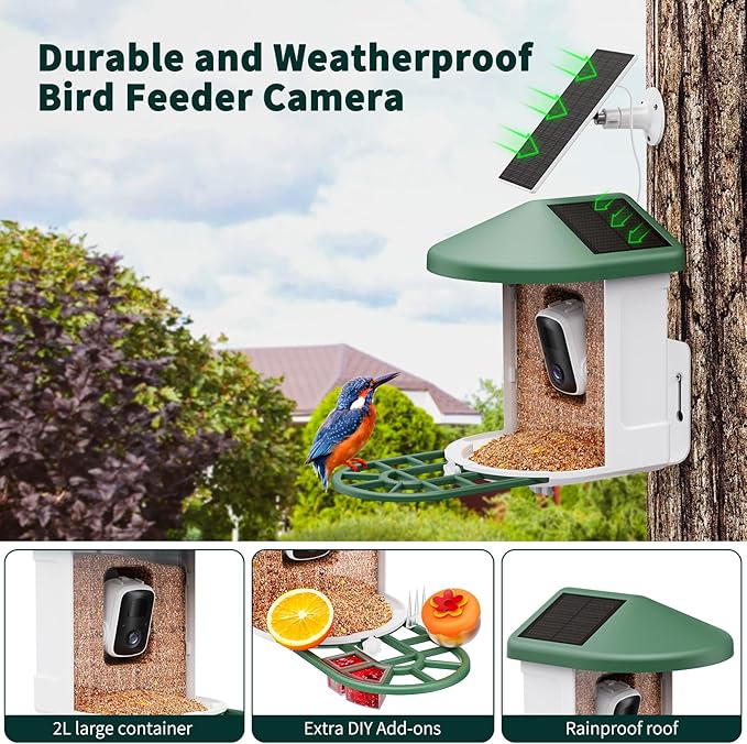 Bird Feeder with Camera with AI Identify Birds Species Solar Powered, Smart Bird House with Cam, 2K HD Video Live Stream, Instant Arrival Alerts - Green
