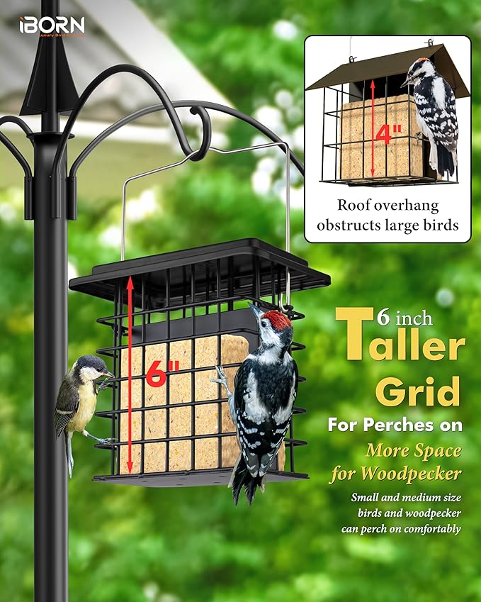 iBorn Double Suet Feeder for Outside Hanging,Weatherproof Suet Feeders,Suet Holder with Taller Grid for Woodpecker, Suet Cage Bird Feeders for Outdoors,Easy to Clean & Refill,All Metal,Black