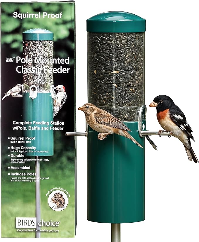 Birds Choice Classic Squirrel Proof Bird Feeder with Pole Mount | Tube Bird Feeder for Cardinals, Chickadees, Woodpeckers | Sturdy Steel for Long-Lasting Use | Backyard Bird Seed Dispenser | Green