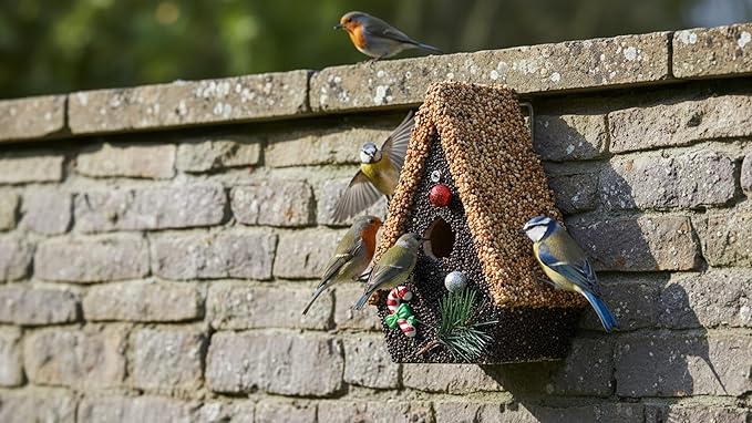 Seeded Birdhouse, Birdseeded Bird House, Wood Wren Bird Houses Covered with Wild Birdfood,Bird Feeders for Outside Hanging, A Frame Birdhouses