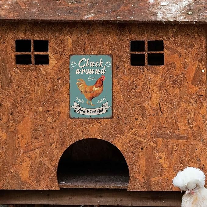 Putuo Decor Funny Chicken Cluck Around And Find Out Tin Sign Funny Chicken Sign Farm Chicken Coop For Kicthen Garden Decor Vintage Metal Tin Sign Wall Plaque For Yard Outdoor Decor 12x8 Inch