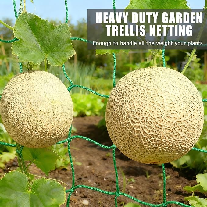 6.6x16.4FT Trellis Netting for Climbing Plants,Trellis Netting with Plant Clips, Heavy-Duty PE Trellis Net for Cucumber, Tomato, Vegetables, Fruits, Sweet Pea Plants
