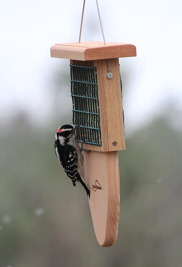 Kettle Moraine Cedar Single Cake Tail Prop Suet Bird Feeder with Hanging Cable