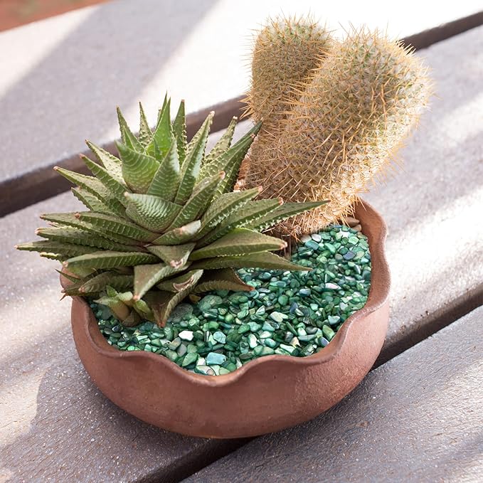 Crushed Shells for Crafts, Sea Shells for DIY Art, Vase Fillers Table Scatter, Party Favor, Wedding Decoration, Succulents Plants Soil Cover, Art Crafts