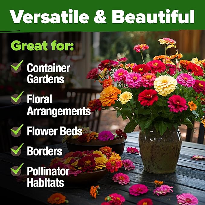 HOME GROWN Zinnia Seeds for 2026 - California Giant Mix - 7,300+ (2 oz) Plant Wildflower Blooms Bulk Seeds for Planting Flowers Outside - Pollinator Gardens (Zinnia elegans)