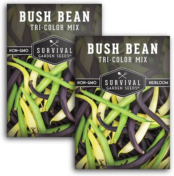 Survival Garden Seeds - Tri-Color Bean Seed for Planting - 2 Packs with Instructions to Plant and Grow Yellow, Purple, and Green Bush Beans in Your Home Vegetable Garden - Non-GMO Heirloom Variety