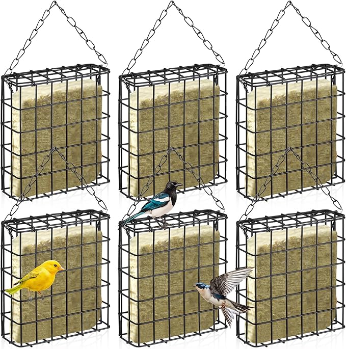 Zhehao 6 Pcs Suet Bird Feeders Outdoor, Hanging Wild Bird Feeder with Single Cake Capacity, Weatherproof Metal Suet Feeder for Garden Yard Outside Decoration, Easy to Clean & Hang (Black)