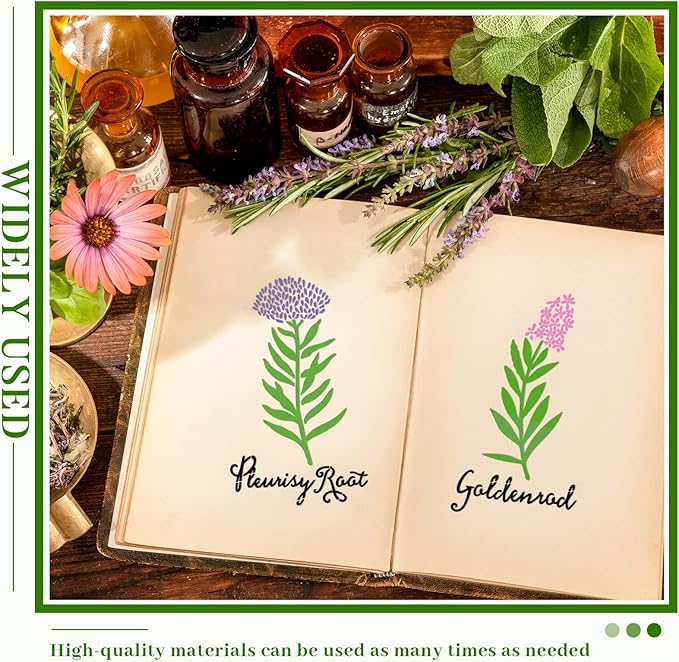 Jecery 20 Pcs Herb Stencils for Craft Painting on Wood Reusable DIY Craft Paint Template Herb Botanical Leaf Garden Kitchen Plant Stencils for Art Scrapbook Wall(7.87 x 4.72 Inches)