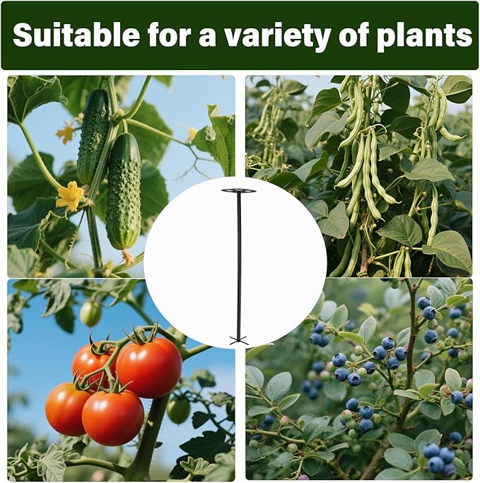 2-Pack 63-Inch Metal Dragon Fruit Trellis - Sturdy Support for Climbing Plants in Outdoor Gardens, Perfect for Dragonfruit, Tomatoes, Eggplants, and Beans - Durable, Stable & Easy to Install