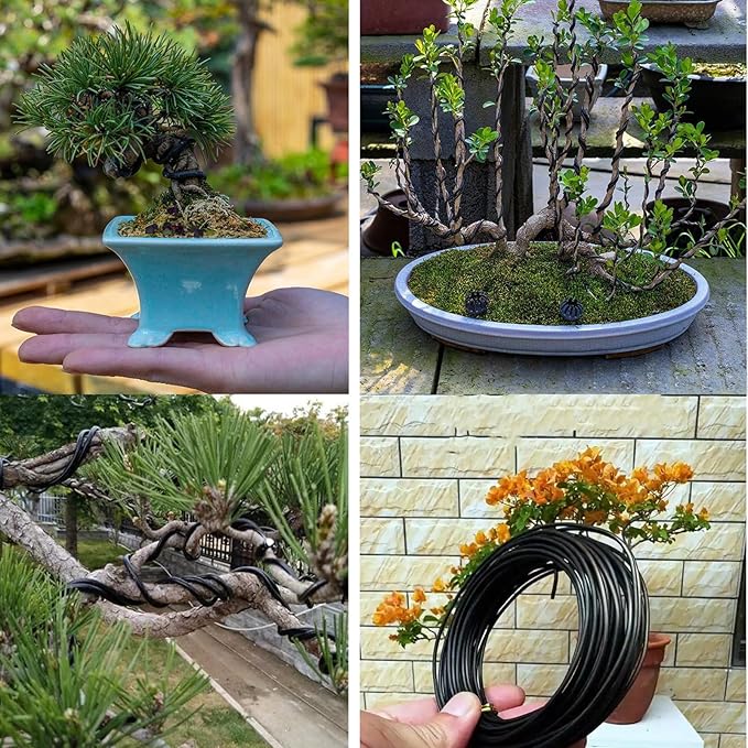 65.5 Feet Twist Ties for Climbing Plants Green Gear Ties Garden Plant Wire Outdoor & Indoor Plants Supporting Tree Tomatoes Vegetables Tape (Diameter - 2.5MM)