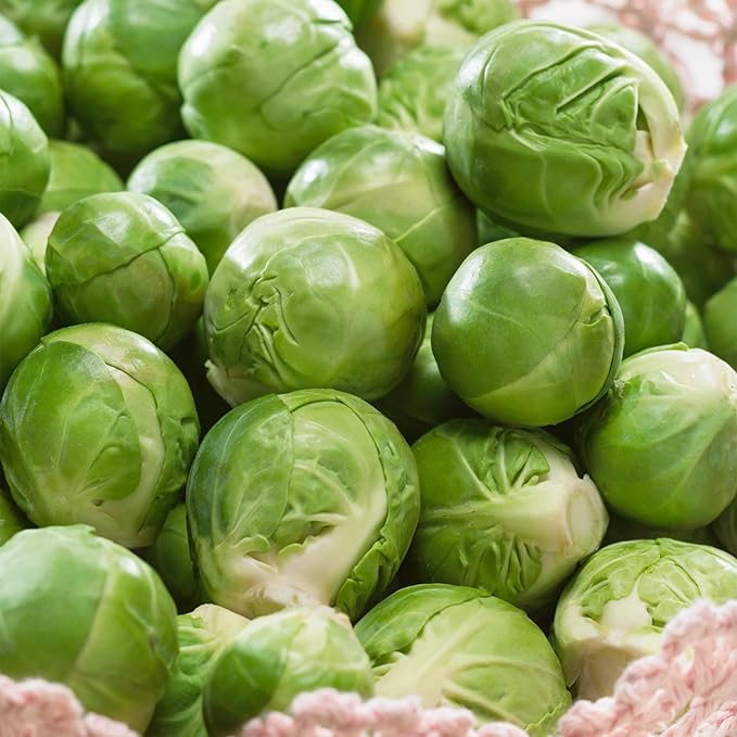 Burpee Heirloom Catskill Brussels Sprouts Seeds - Compact, High-Yielding Variety
