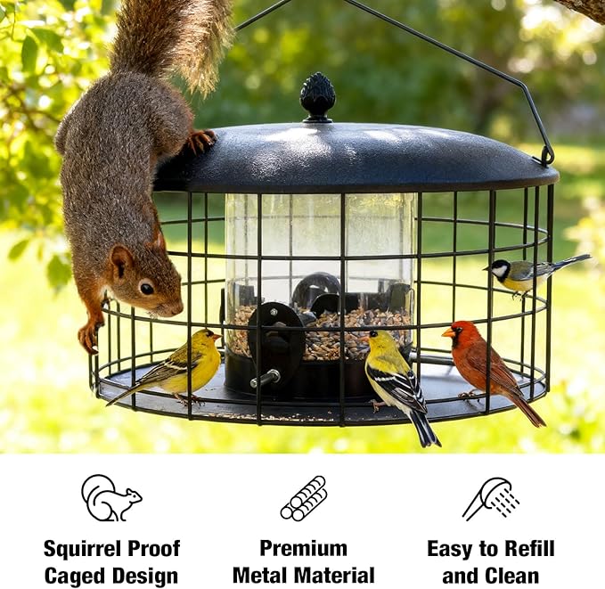 Veehoo Squirrel Proof Bird Feeders for Outdoors Hanging, Metal Caged Wild Bird Feeder for Cardinal Finch Small Birds, Thistle Squirrel-Proof Clear Tube Birdfeeder for Outdoor Balcony