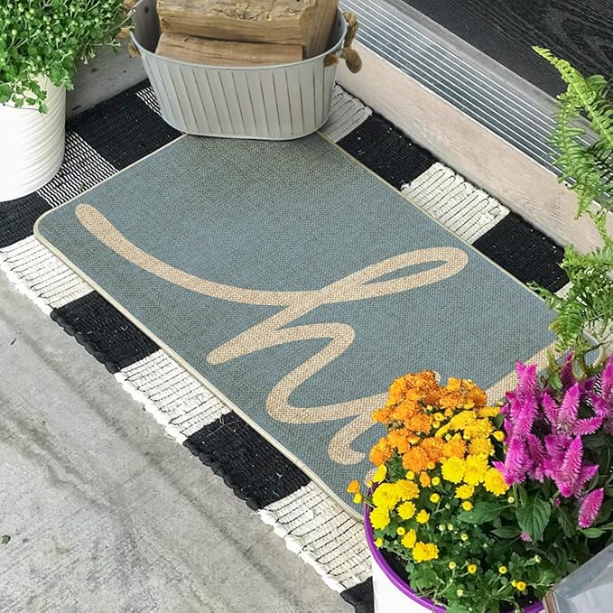 Artoid Mode Sky Blue Hi Doormat, Home Spring Summer Decor Switch Rug Welcome Door Mat Floor Mat 17x29 Inch