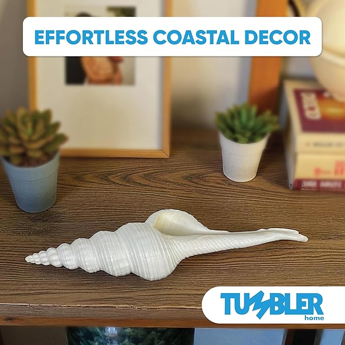 Tumbler Home Large Conch Sea Shells for Decorating or Fish Tank, Coastal & Nautical Decor, Air Plant Holder, Aquarium Ornaments, Big Sea Shell, Decorative Seashells, Beach Party Decor (Spindle)