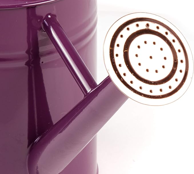 Gardman R34881 1 Gallon Watering Can, Deep Violet