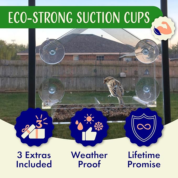 Window Bird Feeder with Strong Suction Cups, Clear Window Feeders for Outside - Transparent Bird House, Balcony Glass Mount, Acrylic Cat, Kids & Elderly Viewing