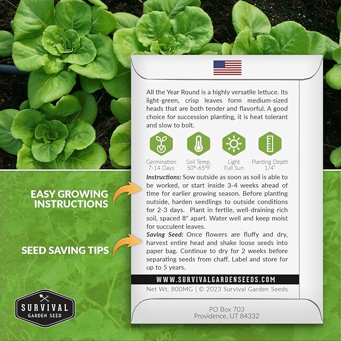 All The Year Round Lettuce Seeds for Planting – Slow-Bolting Butterhead Variety for Cool and Moderate Climates – Reliable Year-Round Harvest – Heirloom Non-GMO – Survival Garden Seeds (5 Packs)