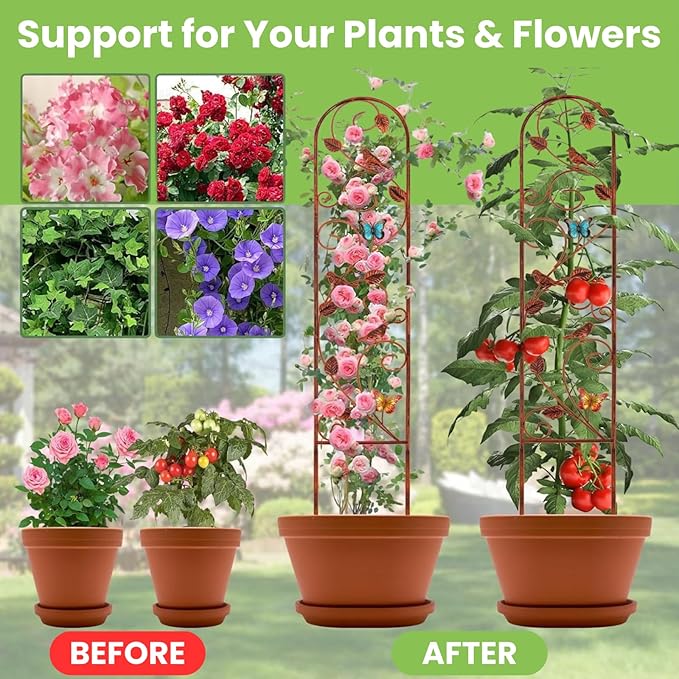 Lancisism 2 Pack 100% Metal Garden Trellis for Climbing Plants Outdoor - Heavy Duty Rustic Iron Arch Fence Trellis Rustproof Plant Support Trellis for Vines, Flowers, Vegetables & Wall Brackets