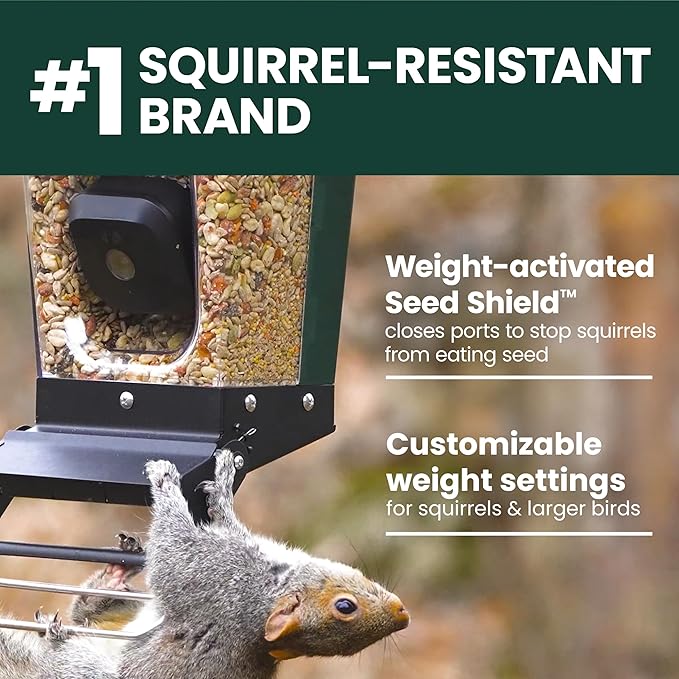 Perky-Pet Solar Powered Smart Bird Feeder with Camera - Squirrel-Resistant, 3.2L Capacity, Motion Activated 1080p HD WiFi Live Stream Camera, SPCAM, SPCAMSLR - Camera Feeder Gift Idea, Red