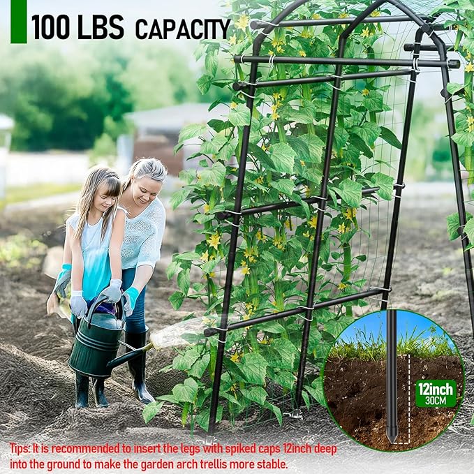 SPECILITE Garden Arch Trellis 88.58" Extra Tall for Climbing Plants Outdoor, Steel Stainless Arched Arbors Tunnel Trellis with Netting, Metal Cable Ties for Cucumber Tomato Pea Vines Fruit