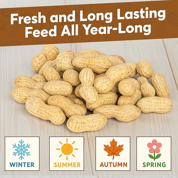 1 LB - Raw Peanuts For Squirrels, Raw In Shell Peanuts For Birds and Wildlife- Squirrel Food, Wild Bird Seed - Grown in The USA