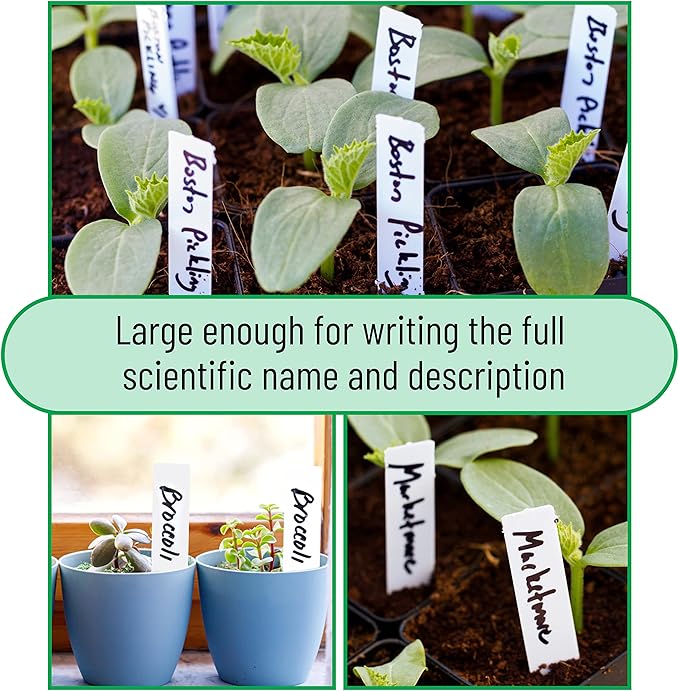 Mr. Pen- Plastic Plant Labels, 100 Pcs, 4“, White, Plant Markers and Labels for Outdoor Garden Waterproof, Plant Name Tags, Planting Sticks for Seeds