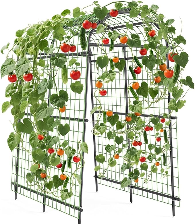 Garden Arch Trellis, 7.5FT Extra Tall Polyethylene-Coated Stainless Steel Garden Trellis for Climbing Plants, Vegetables, Flowers, Outdoor Pergola Arbor Wedding Party Decoration, Cucumber Trellis, Gar