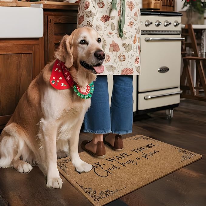 Christian Door Mat Doormat, God Has a Plan Bible Verse Welcome Front Door Mat Indoor Outdoor Entrance, Religious Artificial Coir Doormats Rugs for Porch Entryway Home Decor 30x17in