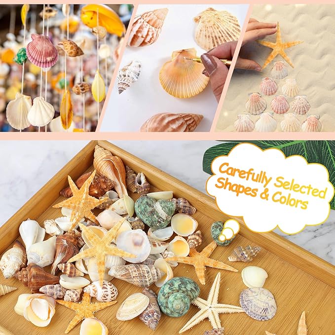 80+ Pcs Natural Seashells, Mixed Starfish Sea Shells for Crafts, Various Sizes Ocean Shells Conch for Decorating, Beach Theme Party, DIY Crafts, Fish Tank Filling, Home Decor, Wedding Decoration