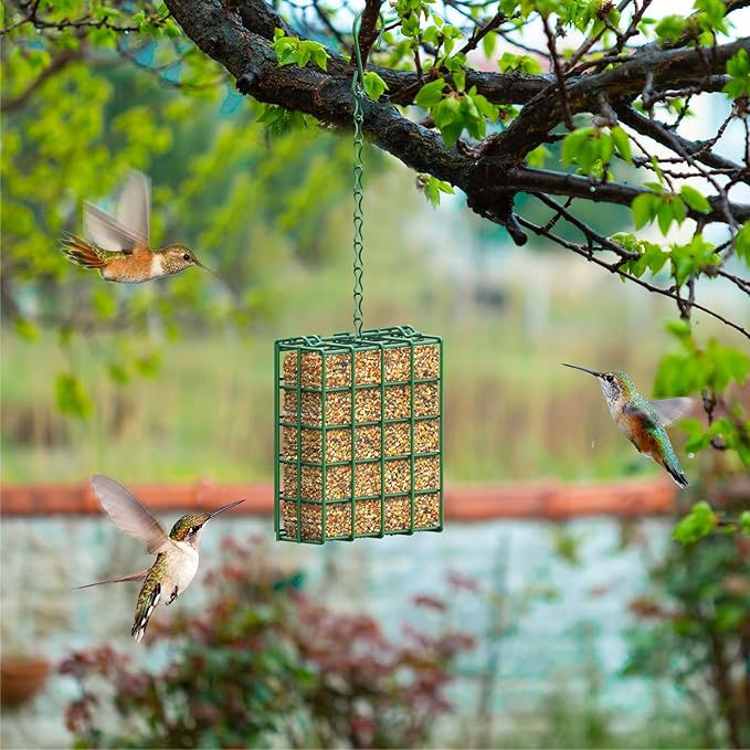 Bird Feeder for Outdoors, 2 Pack Suet Feeder Hanging Bird Feeder, Hanging for Garden Yard Outside - Suet Cake Feeders fo Attracting Birds
