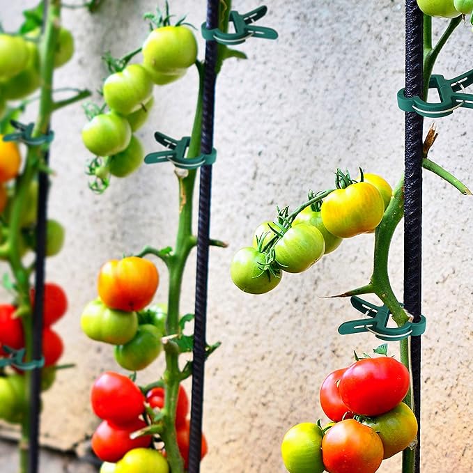 Gardzen 80 Pcs Garden Plant Clips, Plant Support Clips for Securing Stems, Flowers or Climbing Vines to Tomato Cages, Trellis