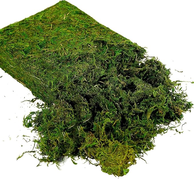 Artificial Moss, 16OZ Fake Moss for Crafts, Decorative Centerpieces, Fairy Garden, Wedding Party Decor, Faux Potted Plants, 455gr (Fresh Green)
