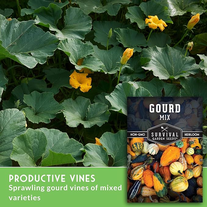 Mixed Gourd Seeds for Planting – Ornamental Mix of Colorful Decorative Gourds for Fall Crafts, Birdhouses, and Harvest Décor - Heirloom Non-GMO Open-Pollinated - Survival Garden Seeds (1 Pack)