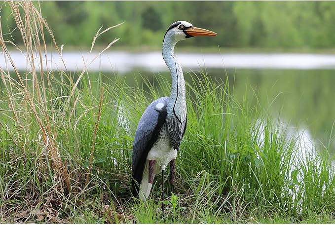 Higdon Outdoors Blue Heron Confidence Decoy for Waterfowl and Ornamental Water Garden, Pond and Landscape Decoration Plus Pest Deterrent