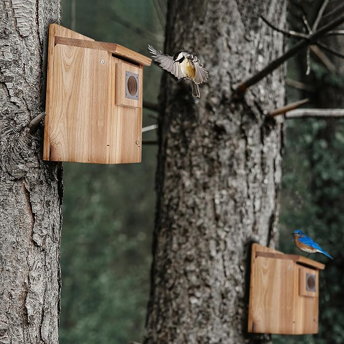 CARTMAN 0.6 Inch Thick Wood Bird Houses with Stainless Steel Guard, Hummingbird House for Outside Clearance Garden Country Cottages 2pk