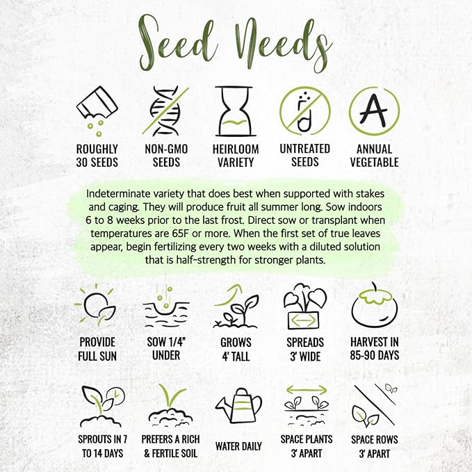 Seed Needs Tomato Seeds for Planting Indeterminate True Beefsteak Tomatoes - Non-GMO Heirloom & Untreated Vegetable Seed to Plant a Home Grown Outdoor Veggie Garden (1 Pack)