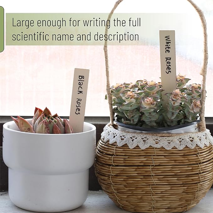Mr. Pen - Wood Plant Labels with Marker, 100 Pcs, 6" Wooden Plant Markers
