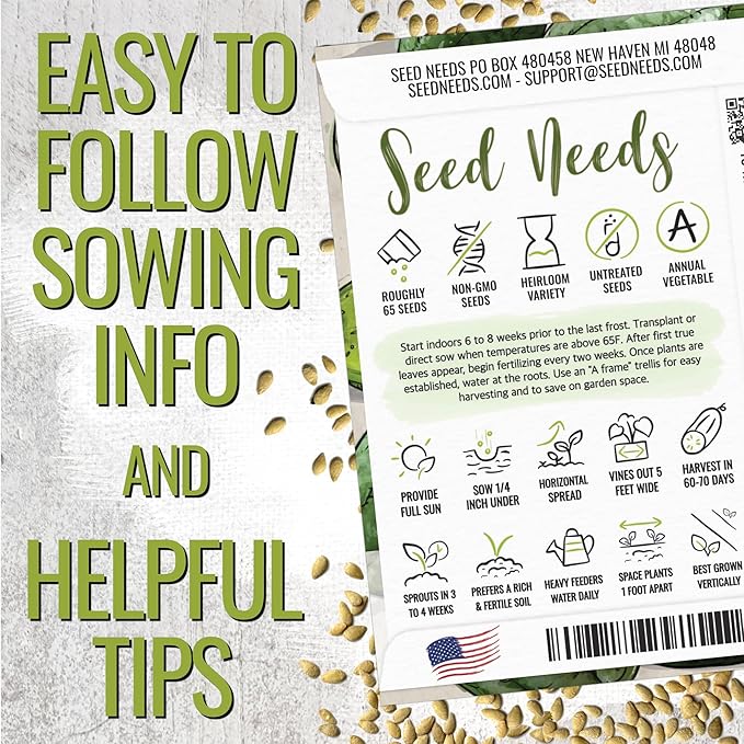 Seed Needs Cucamelon Seeds for Planting Mexican Sour Gherkin Miniature Mouse Melons - Non-GMO Heirloom & Untreated - Grow a Home Grown Indoor Outdoor Vegetable Garden (5 Packs)