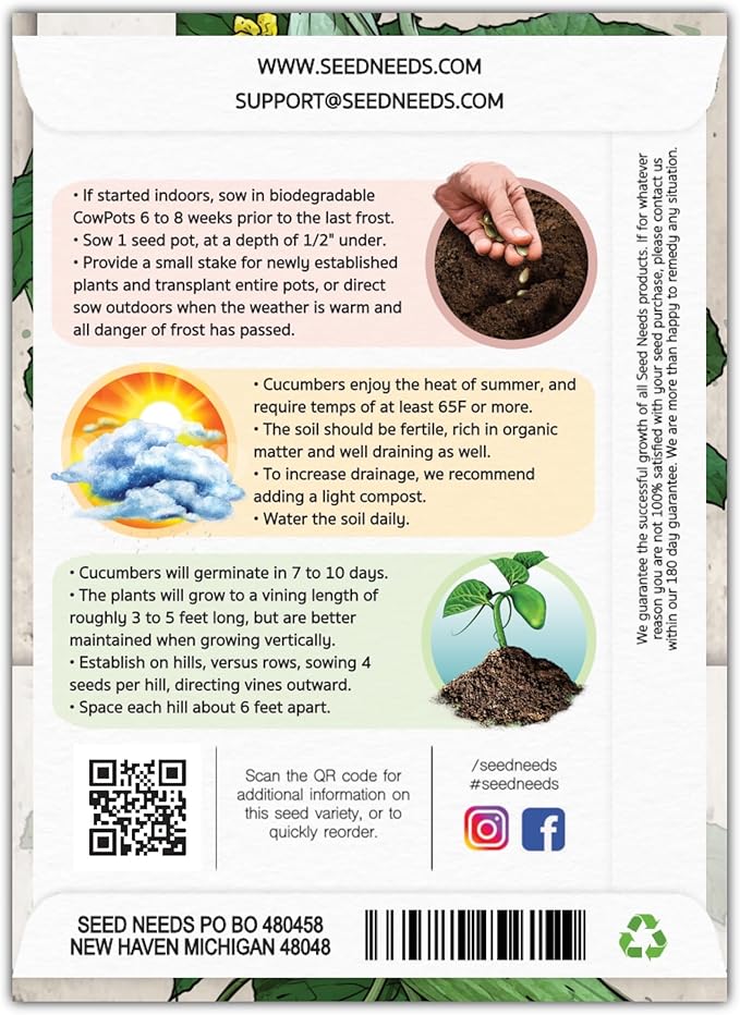 Seed Needs Cucumber Seeds for Planting Armenian Yard Long Cucumbers - Heirloom Non-GMO & Untreated - Snake Melon/Serpent Cucumber to Plant a Home Grown Outdoor Vegetable Garden (2 Packs)