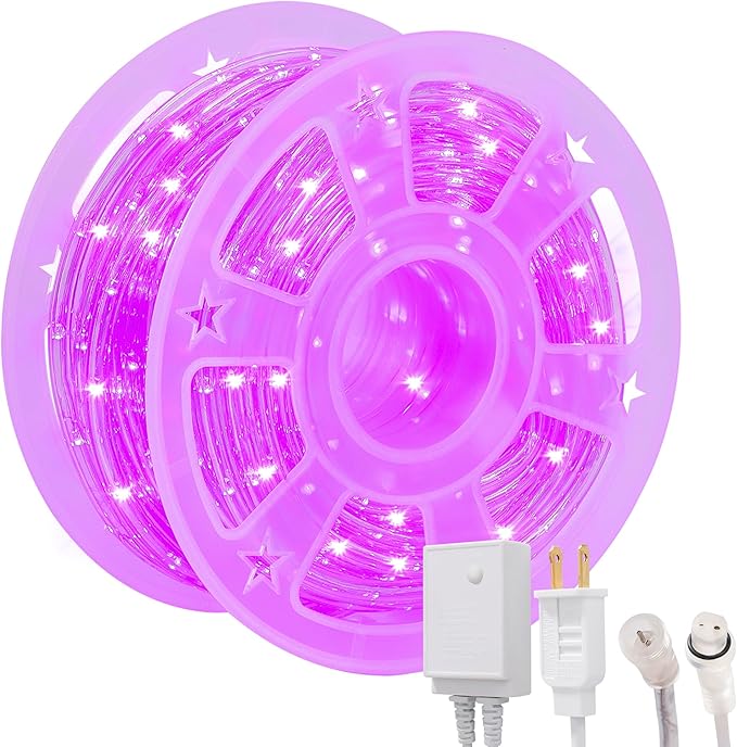 Waterproof LED Rope Lights, Connectable & Flexible with 8 Modes, Outdoor Lighting for Deck, Garden, Pool, Patio & Christmas Decor (Purple, 100ft)