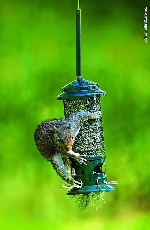 Squirrel Buster Standard Squirrel-Proof Bird Feeder w/4 Metal Perches,1.3-Pound Seed Capacity,Garden Green,(Pack of 4)