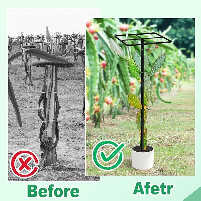 63'' Metal Dragon Fruit Trellis, Adjust Durable Dragon Fruit Plant Trellis Support Garden Fruit Stand for Vertical Climbing Plants Trees Cactus Roses Vines Outdoor Indoor,1 Pcs