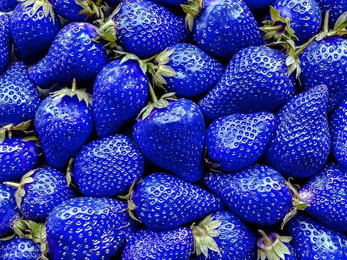 800 Mixed Strawberry Seeds - 4 Colors - Non-GMO Heirloom Perennial Seeds for Planting - Sweet Juicy Berries, Suitable for Indoor/Outdoor Gardens, Pots & Flower Beds