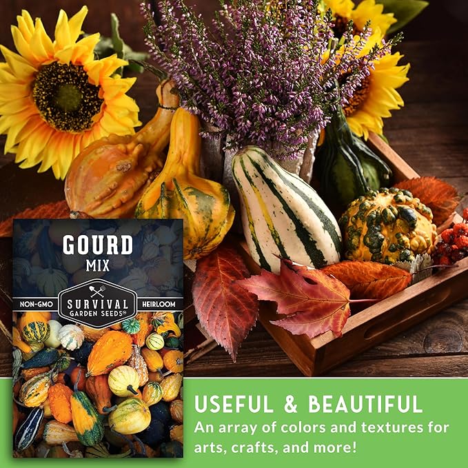 Mixed Gourd Seeds for Planting – Ornamental Mix of Colorful Decorative Gourds for Fall Crafts, Birdhouses, and Harvest Décor - Heirloom Non-GMO Open-Pollinated - Survival Garden Seeds (1 Pack)