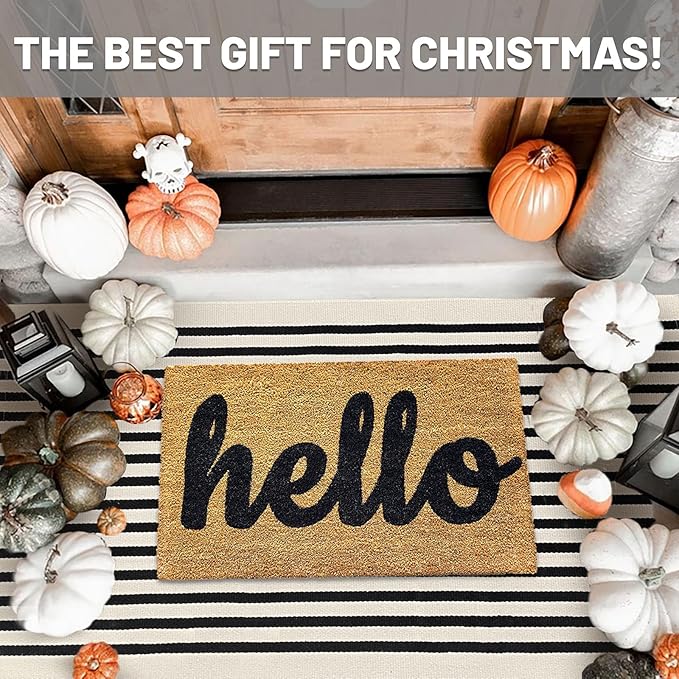 IOHOUZE Black Beige Striped Rug -3'x5' Front Door Rugs Outdoor, Washable Area Rug for Front Porch, Spring Summer Welcome Mats Outdoor Indoor, Doormat for Entryway Porch Entrance