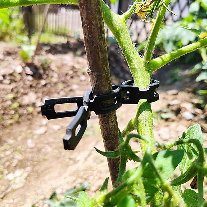 100 FT Chain Lock Tree Tie, 1/2 Inch Wide Adjustable Tree Support Straps for Staking, Outdoor Plant Garden Ties, Flexible & Reusable Plastic Ties for Cable, Leaning Tree Garden Accessories